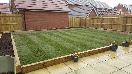 Premium Lawn Turf Laid In Plymouth 